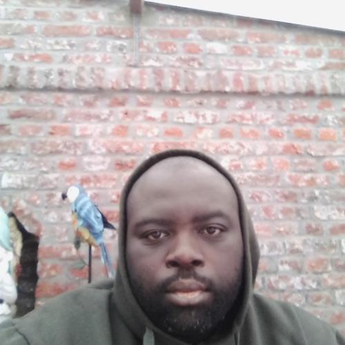 Franck T. - Traducteur