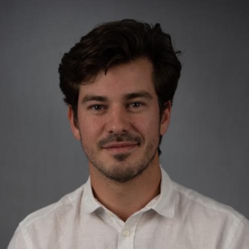 Vincent A. - Consultant commercial indépendant